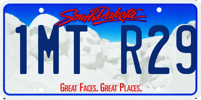 SD license plate 1MTR29