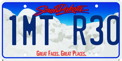 SD license plate 1MTR30