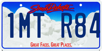 SD license plate 1MTR84