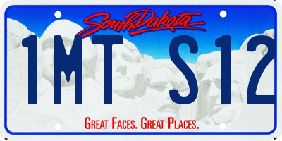 SD license plate 1MTS12