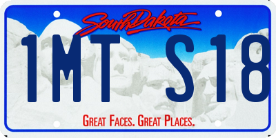 SD license plate 1MTS18