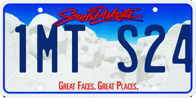 SD license plate 1MTS24