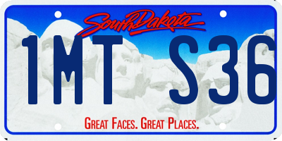 SD license plate 1MTS36