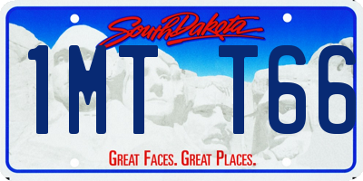 SD license plate 1MTT66