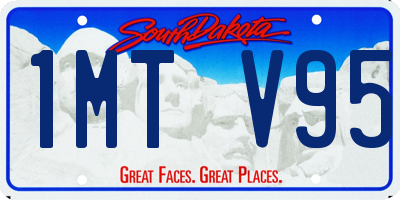SD license plate 1MTV95