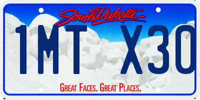 SD license plate 1MTX30