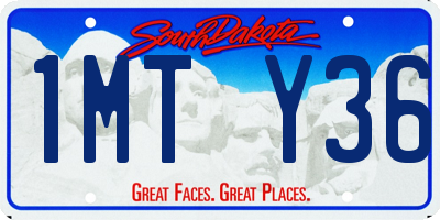 SD license plate 1MTY36
