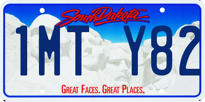 SD license plate 1MTY82