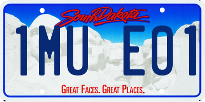 SD license plate 1MUE01