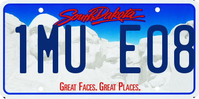 SD license plate 1MUE08