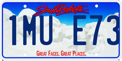 SD license plate 1MUE73