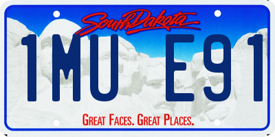 SD license plate 1MUE91