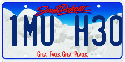 SD license plate 1MUH30