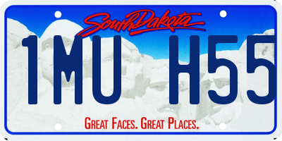 SD license plate 1MUH55