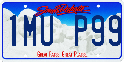 SD license plate 1MUP99