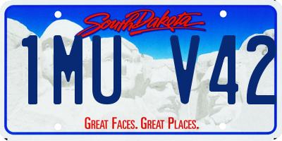 SD license plate 1MUV42