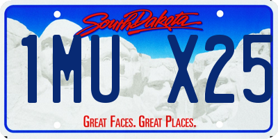 SD license plate 1MUX25