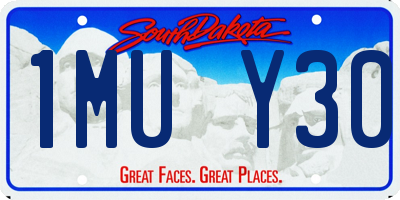 SD license plate 1MUY30