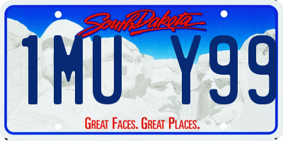 SD license plate 1MUY99