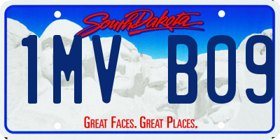 SD license plate 1MVB09