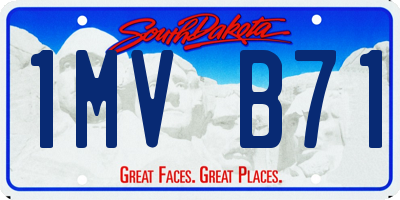 SD license plate 1MVB71