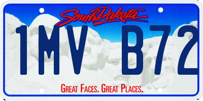 SD license plate 1MVB72