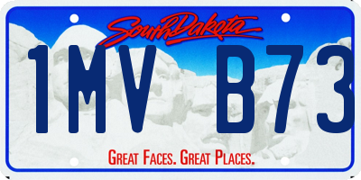 SD license plate 1MVB73