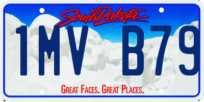 SD license plate 1MVB79