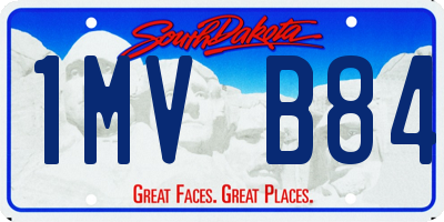 SD license plate 1MVB84