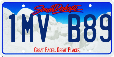 SD license plate 1MVB89