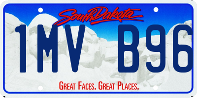 SD license plate 1MVB96