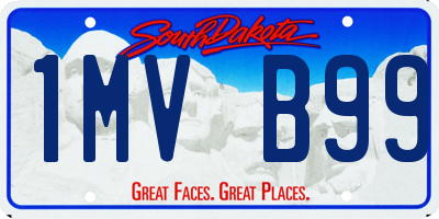 SD license plate 1MVB99