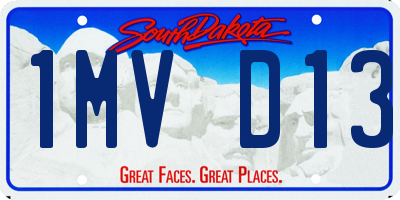 SD license plate 1MVD13