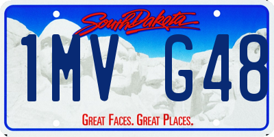 SD license plate 1MVG48