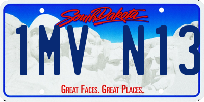 SD license plate 1MVN13