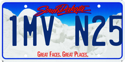 SD license plate 1MVN25