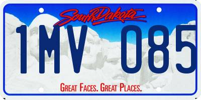 SD license plate 1MVO85