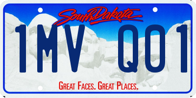 SD license plate 1MVQ01
