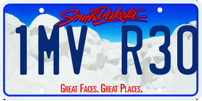 SD license plate 1MVR30