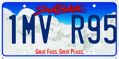 SD license plate 1MVR95