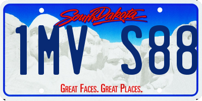 SD license plate 1MVS88