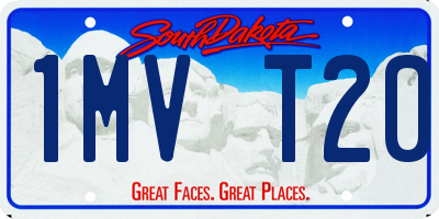 SD license plate 1MVT20