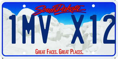 SD license plate 1MVX12