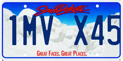 SD license plate 1MVX45