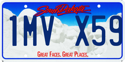 SD license plate 1MVX59