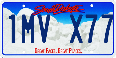 SD license plate 1MVX77