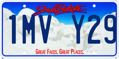 SD license plate 1MVY29