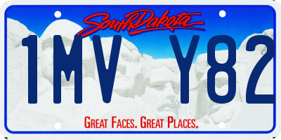 SD license plate 1MVY82