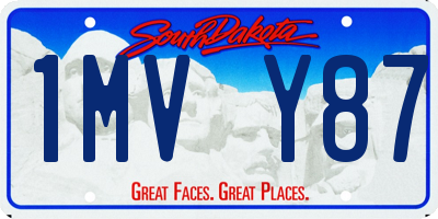 SD license plate 1MVY87