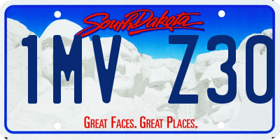 SD license plate 1MVZ30